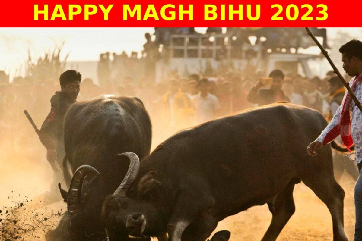 Happy Magh Bihu Bhogali Bihu Wishes Photos Status Quotes