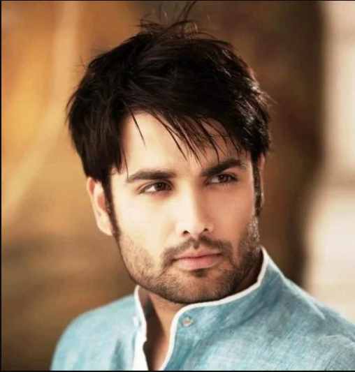 Vivian Dsena